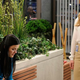 Image for article titled Covert Affairs: "Around The Sun"